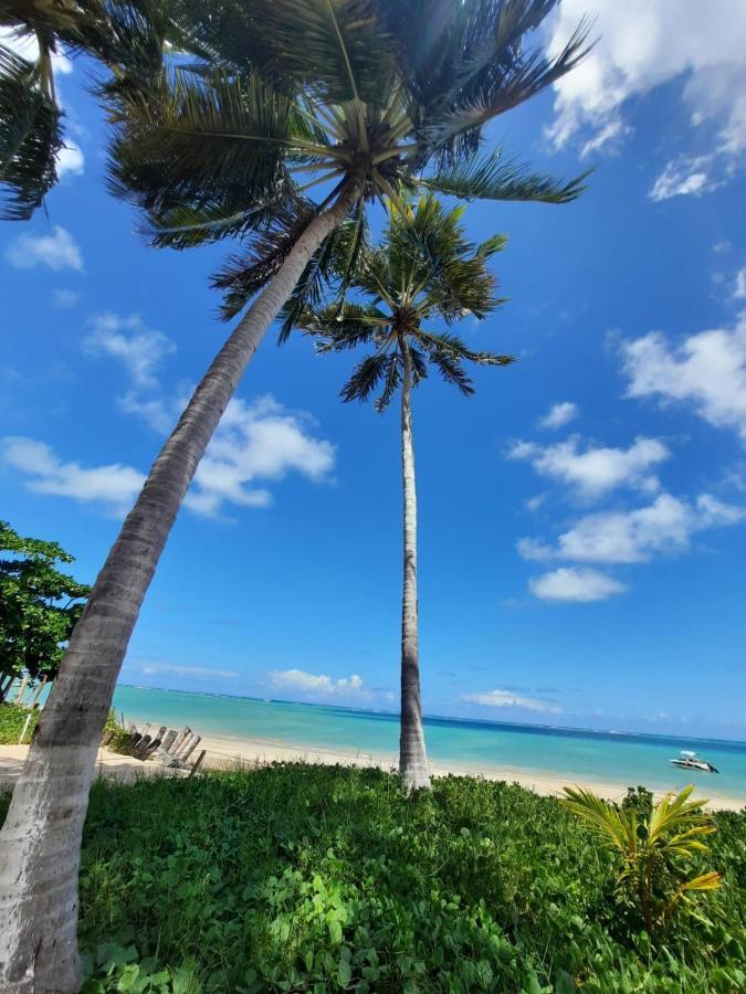 Parque Dos Coqueiros- Bangalos E Suites มาราโกจี ภายนอก รูปภาพ